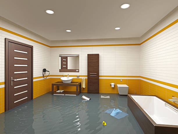 Reliable Le Center, MN Water damage restoration Solutions